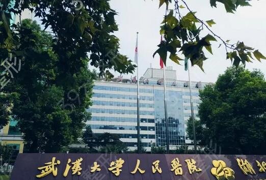 武汉做热玛吉的公立医院排行榜