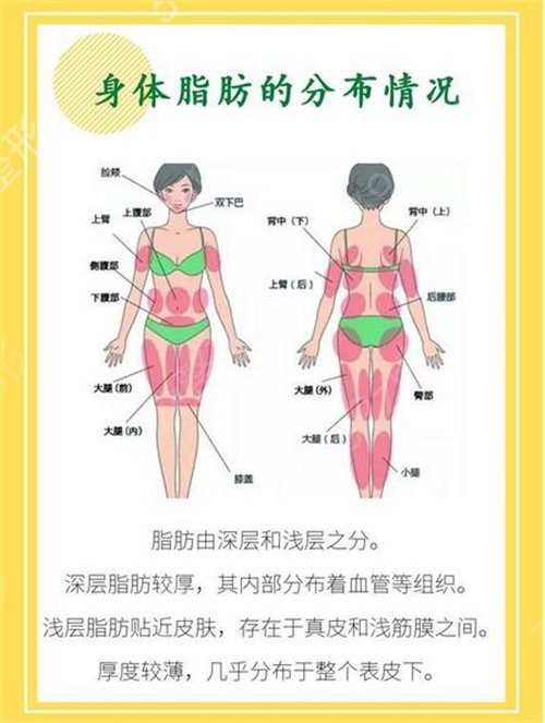 重庆三甲整形医院名单_用有正规资质