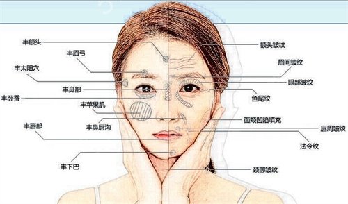 上海哪家自體脂肪填充技術(shù)好