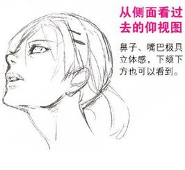 北京八大处下颌角专家排名榜