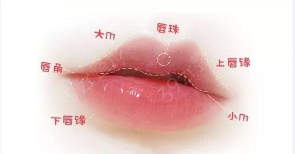 2022北京厚唇改薄医院排名榜有八大处、联合丽格等权威机构