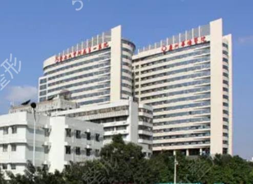 2022排名榜前十强