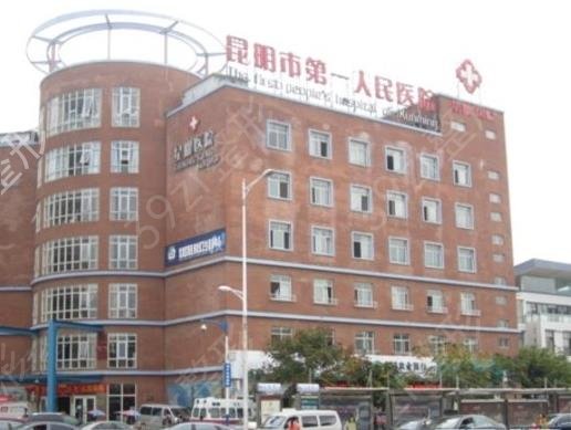 昆明医院公立医院整形排名榜