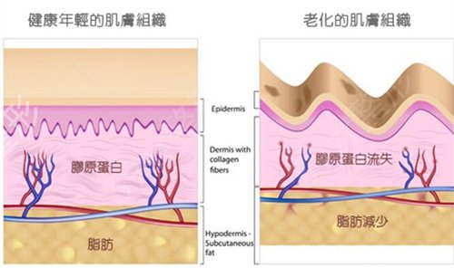 国内权威的整形医院是哪家