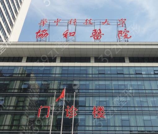 武汉有权威的丰胸医院排名榜