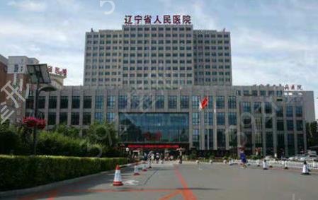 沈阳整形隆鼻医院哪家好