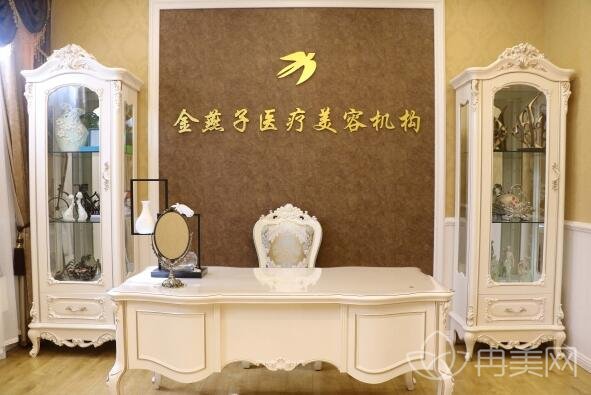 北京金燕子医疗美容价格表全新版发布