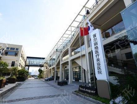 上海隆鼻好的整形醫(yī)院排名前五強(qiáng)
