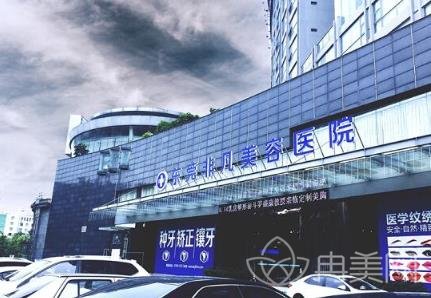 广州东莞好的整形医院有哪些