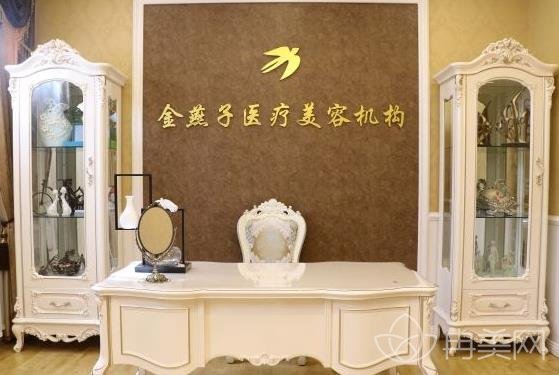 北京金燕子马铁安怎么样