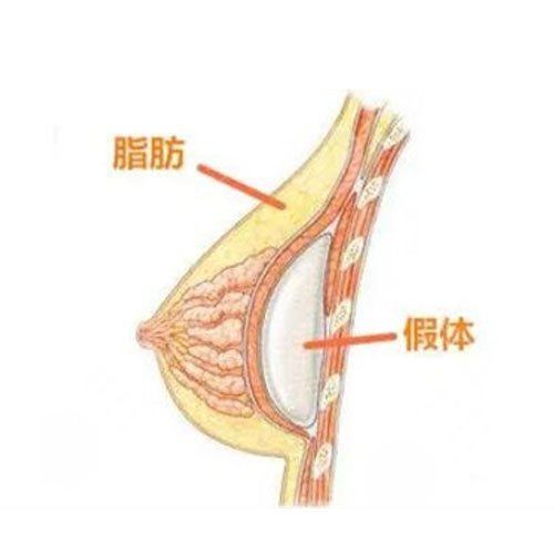 浙江大学医学院附属妇产科医院整形科怎么样