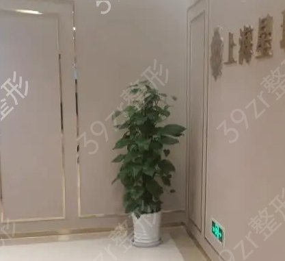 上海整形美容哪些好