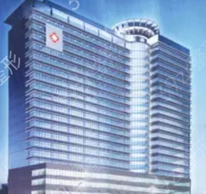 河池市私密整形医院排行榜
