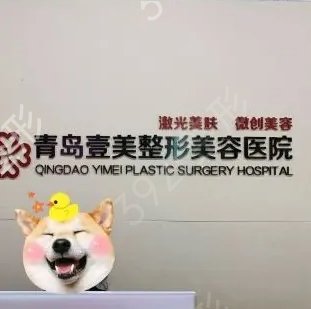 青島優(yōu)質(zhì)整形醫(yī)院排名