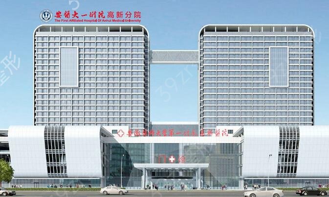 合肥做热玛吉的公立医院排行榜