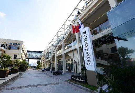 2022国内整形医院排名（四家一决高下）