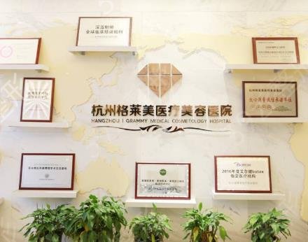 杭州假体隆鼻医院哪家好