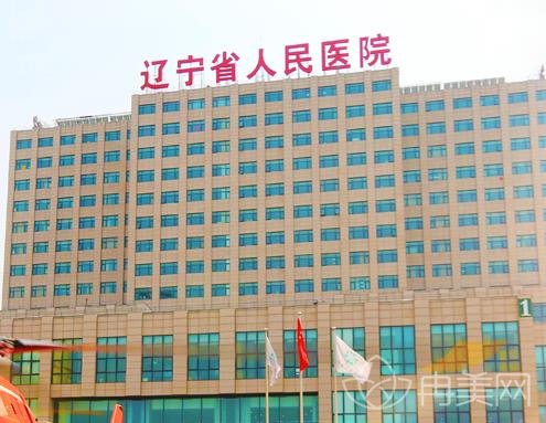 沈阳整形医院公立医院哪家比较好