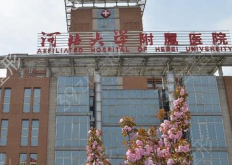 保定有几个整形正规医院