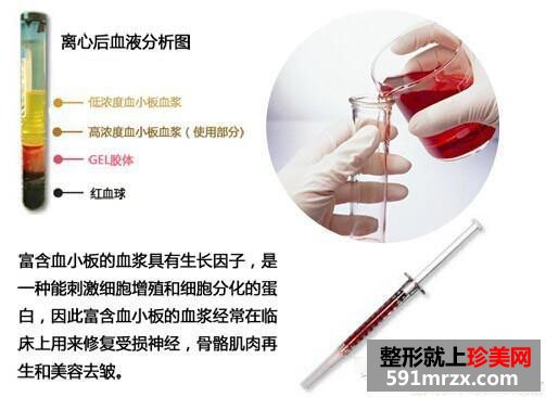 自体活细胞,面部,年轻化